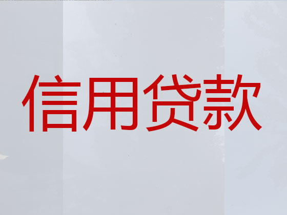 温州抵押贷款公司-银行担保贷款